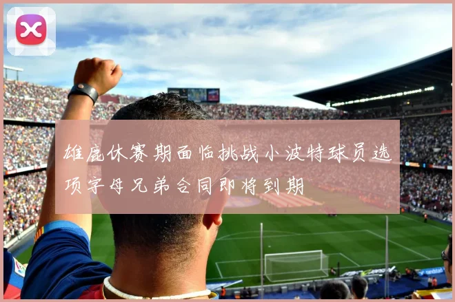 雄鹿休赛期面临挑战小波特球员选项字母兄弟合同即将到期